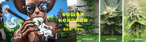 марки lsd Белокуриха